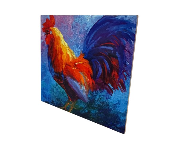 אריח קרמיקה 20×20 ס"מ מט